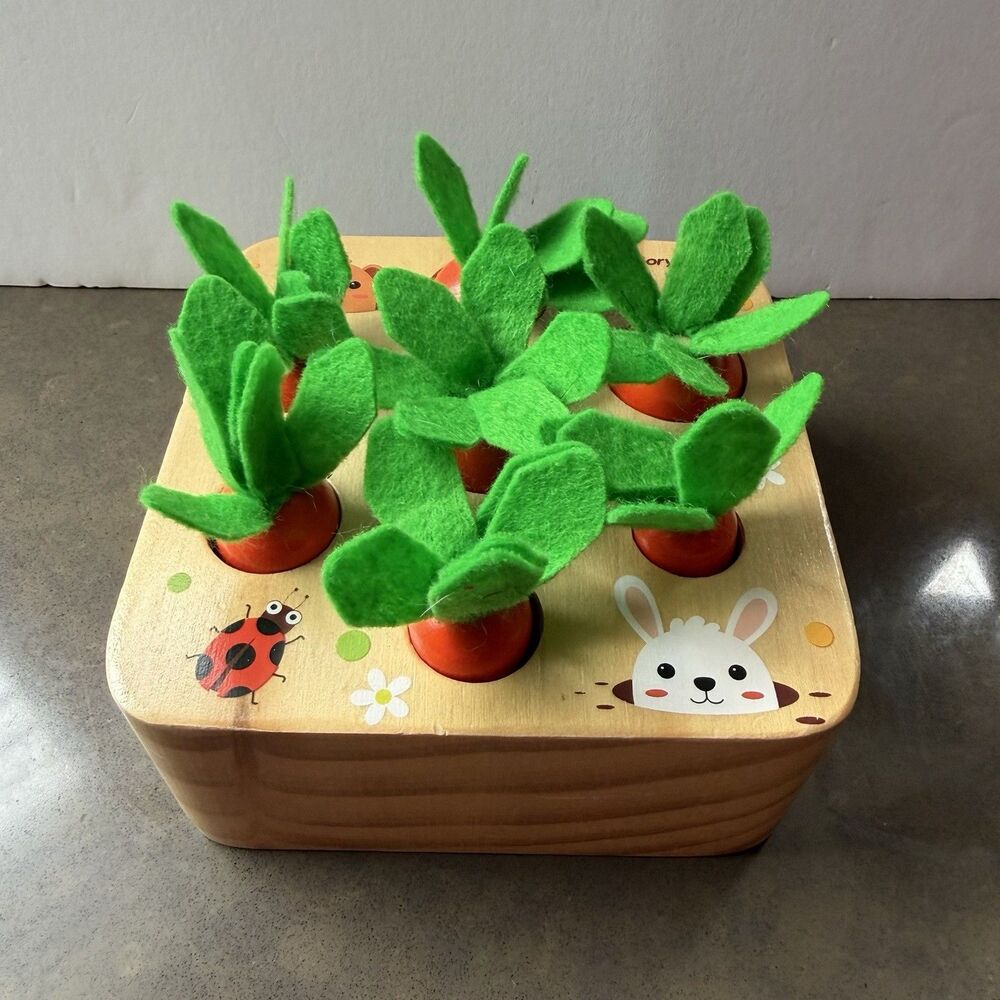 Goryeo Baby Montessori Wooden 3D Carrot Size Match Puzzle Easter Fun Play Learn